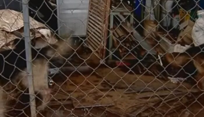 (Foto: Reprodução)