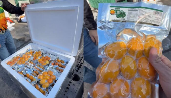 De Goiás para os EUA: empresário leva pequi para brasileiros no exterior