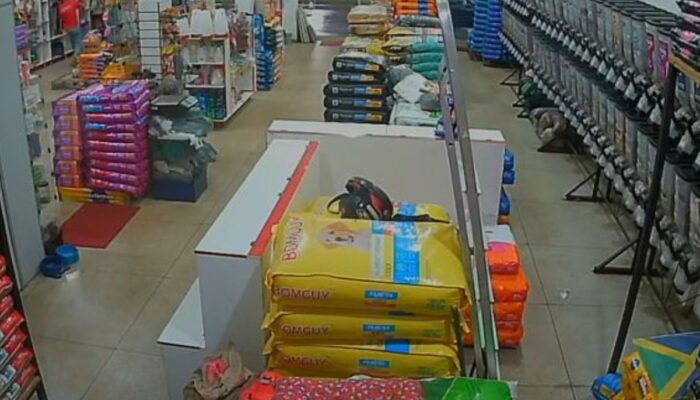 Jovem é salvo por colega após se engasgar em pet shop de Trindade; veja vídeo