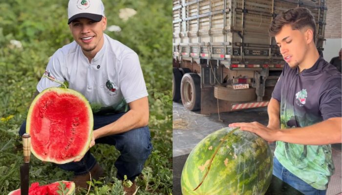 Foto: Divulgação/Gabriel Alvarenga