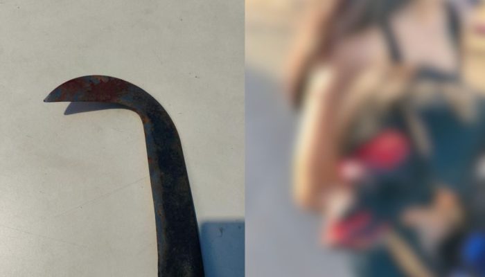 Cachorrinha é atacada com golpes de foice e homem acaba preso em Anápolis