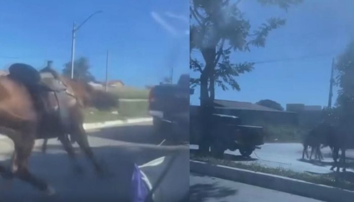 Vídeo mostra cavalo sendo arrastado por caminhonete e revolta moradores de Goiânia