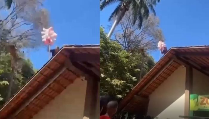 Vendedor sobe no telhado do Zoológico de Goiânia após apreensão de mercadorias