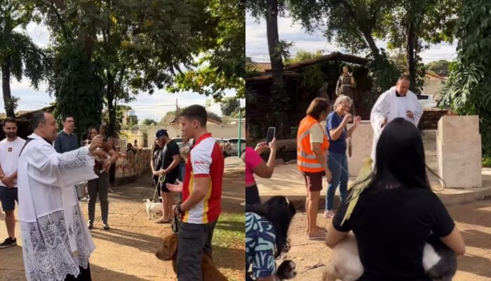 Cães e outros animais são abençoados com água benta durante celebração em igreja de Goiânia
