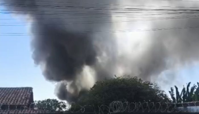 (Foto: Reprodução)
