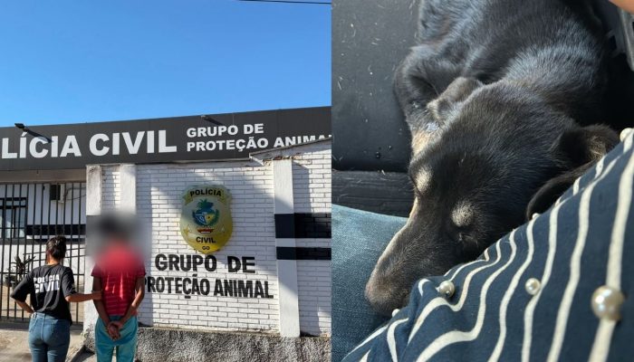 Homem é preso suspeito de arremessar cadela contra o chão várias vezes em Goiânia