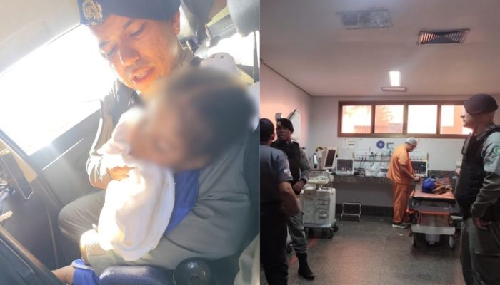 Mãe grávida e criança de 6 anos são picados por escorpião e levadas até o HDT, em Goiânia