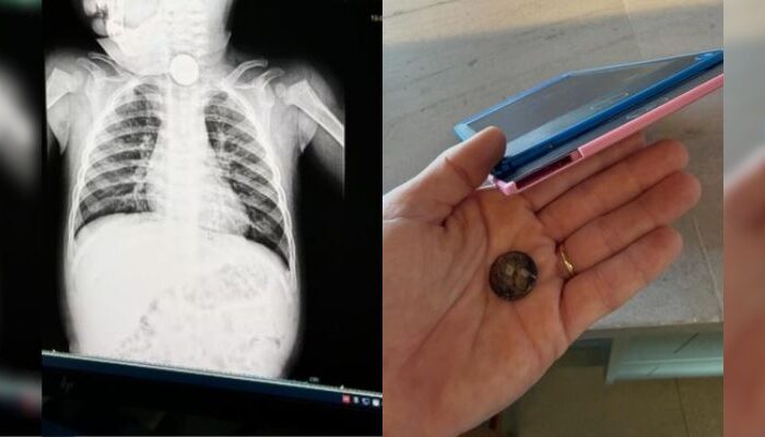 Foto:Divulgação/Renata Porto