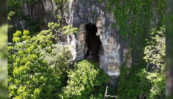 Foto: Arquivo pessoal/Rafael Sant'Ana