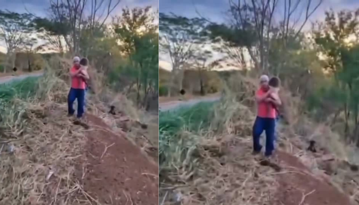 Grave acidente entre caminhão e carro deixa três mortos na GO-210