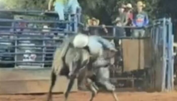 (Foto: Reprodução/ instagram Lucascowboy_oficial)