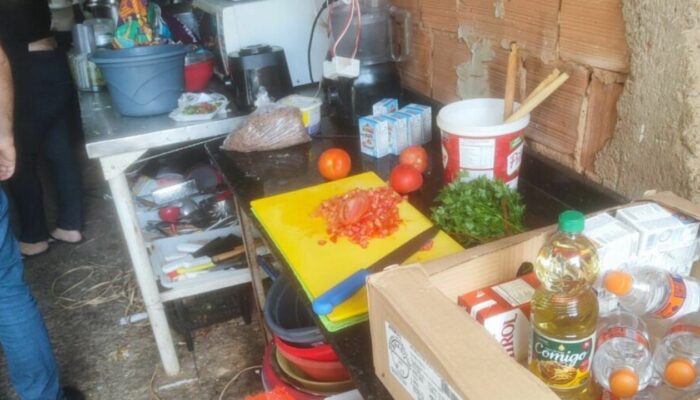 De baratas à falta de higiene: fábrica clandestina de salgados é fechada em Goiânia. (Foto: PCGO)