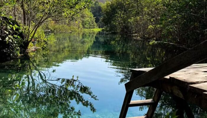 Nascente em Mimoso de Goiás. (Foto: Arquivo pessoal/Devilin Ranieli)
