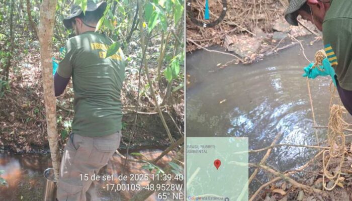 (Foto: Reprodução)