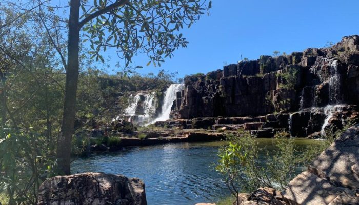 Criança é atacada por onça-parda durante aniversário na Chapada dos Veadeiros