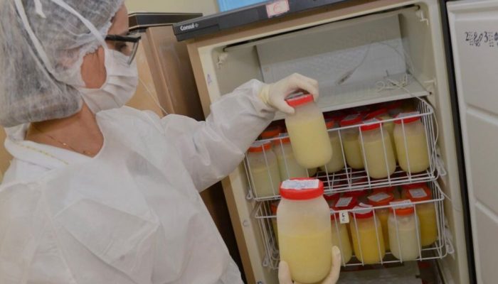 Imagem mostra estoque de leite no Banco de Leite do Hemu. (Foto: Divulgação/Hemu)