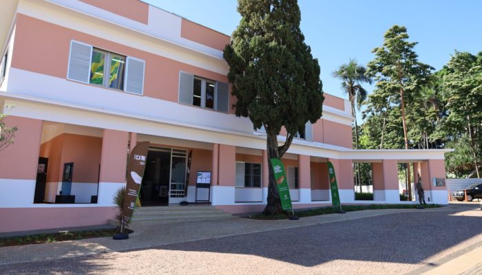 Justiça suspende edital de R$ 7,1 milhões da Secult e bloqueia recursos de instituto