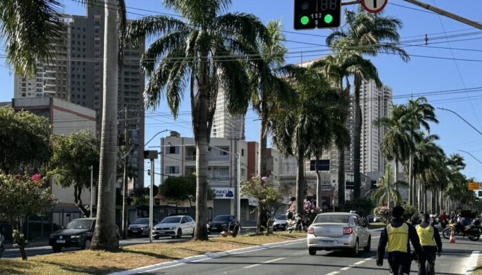 Avenida 85. (Foto:  Divulgação/SET)