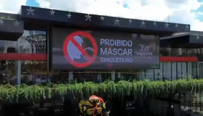 (Foto: REPRODUÇÃO)