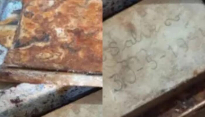 (Foto: Reprodução/ Redes sociais)