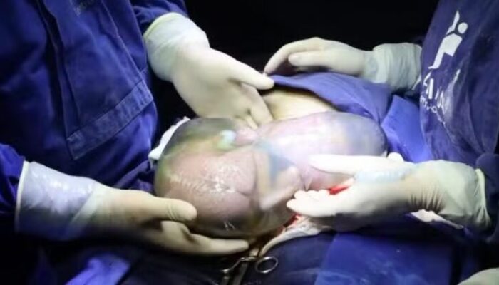 (Foto: Arquivo pessoal/Carol Teles)