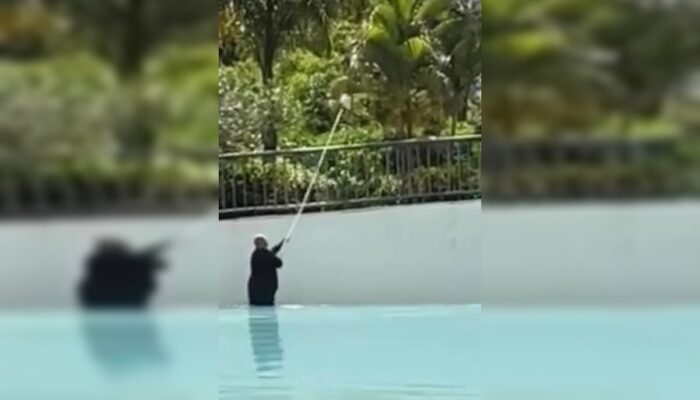 (Foto: Reprodução/@babadoluzianiareserva)