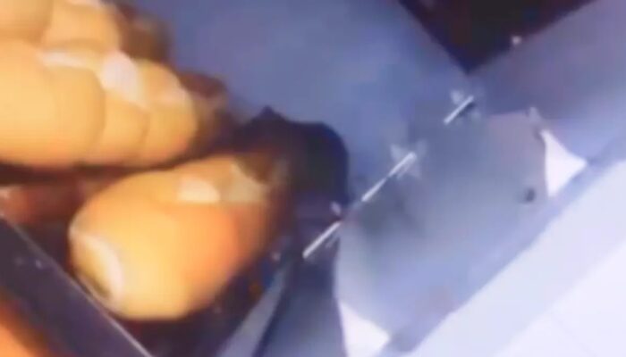 (Foto: Reprodução)