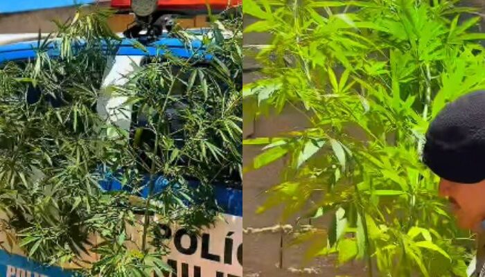 (Foto: Reprodução/ Instagram)