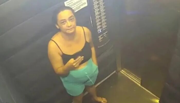 (Foto: Reprodução)