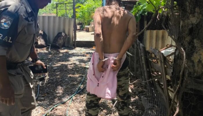 (Foto: Divulgação PMGO)