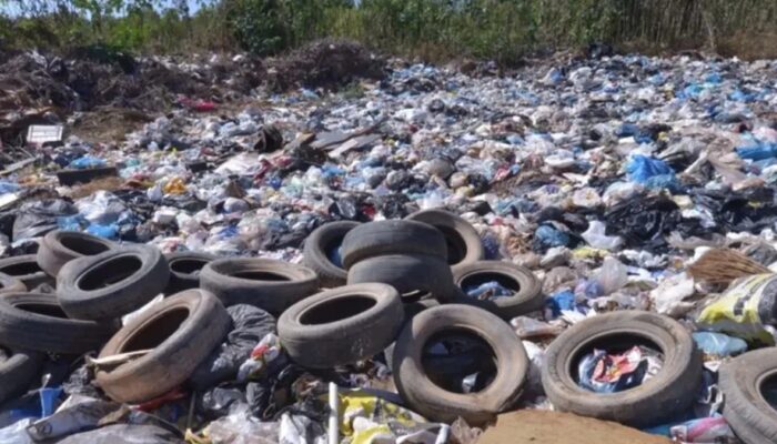 (Foto: Divulgação/ Governo de Goiás)