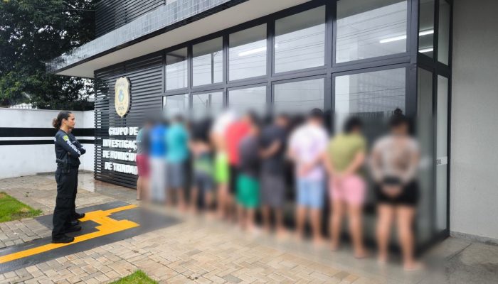 (Foto: Divulgação/ PCGO)