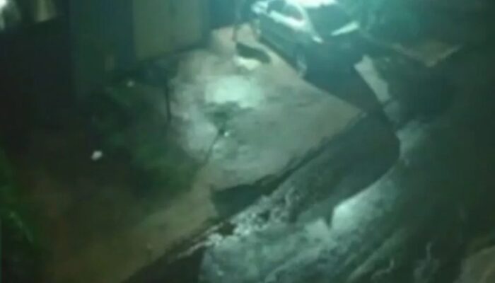 (Foto: Reprodução)