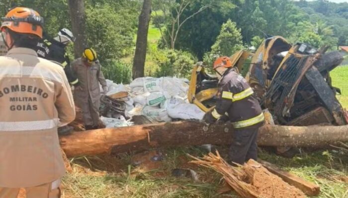 (Foto: Divulgação/Corpo de Bombeiros)