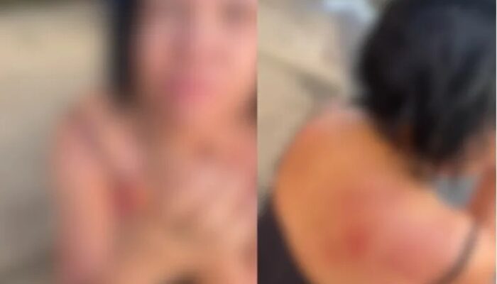 (Foto: Reprodução)