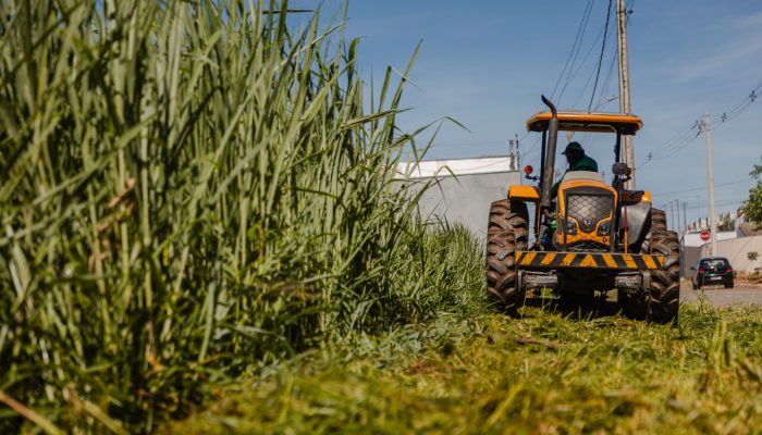 Anápolis inicia fiscalização e pode multar donos de lotes com mato alto