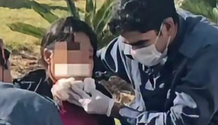 Homem morre em confronto após atirar contra mulher autista na Rua 44