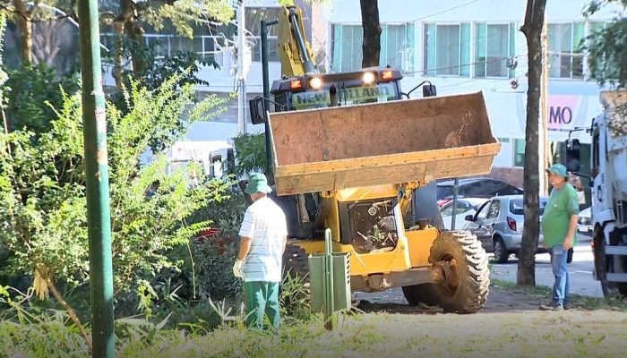 Retirada de 48 árvores no Lago das Rosas é suspensa em Goiânia