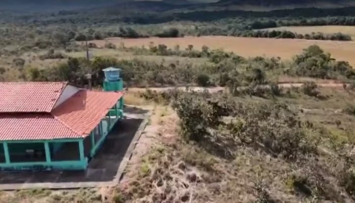 Câmeras escondidas revelam tesouro da fauna no interior de Goiás