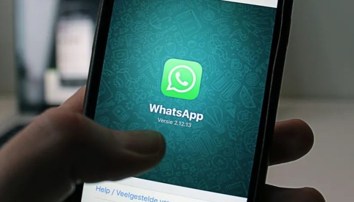 Solicitações de renovação da CNH e emissão da identidade poderão ser feitas pelo WhatsApp em Goiás