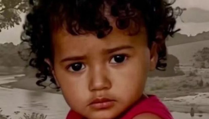Bebê de 1 ano desaparece em fazenda de Goiás e mobiliza grande força-tarefa