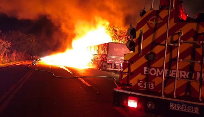 Caminhão carregado de soja pega fogo e mobiliza Corpo de Bombeiros na GO-060