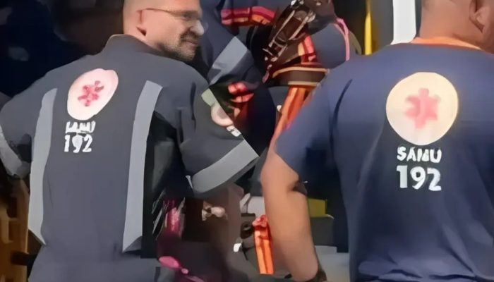 Criança de 7 anos fica gravemente ferida após cair de árvore em Anápolis