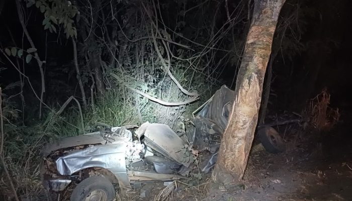Homem morre após perder o controle de caminhonete e bater contra árvore na BR-153
