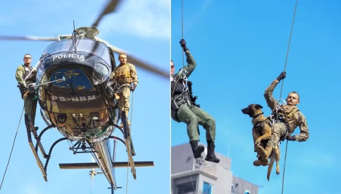 Vídeo: Cão desce de rapel de helicóptero e impressiona durante apresentação do Graer em Goiânia
