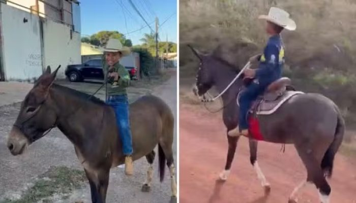 Final feliz: menino de 7 anos reencontra mula desaparecida durante romaria para Trindade