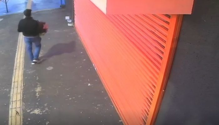 Câmeras flagram homem abandonando filhotes de cachorro na porta de pet shop em Goiânia