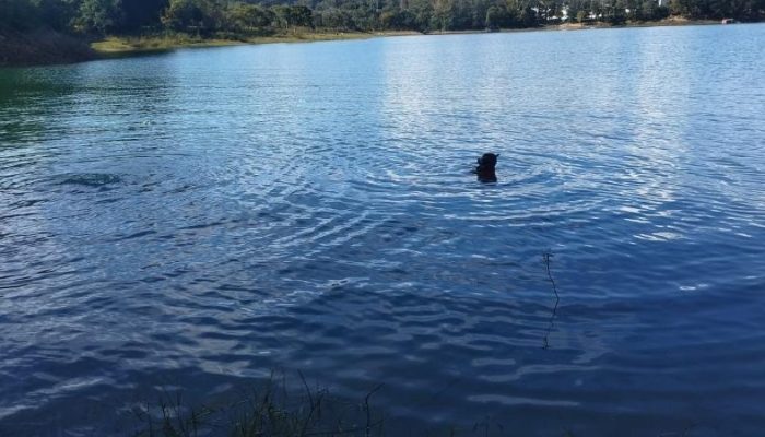 Mulher morre afogada ao tentar salvar adolescente no Lago Corumbá, em Caldas Novas