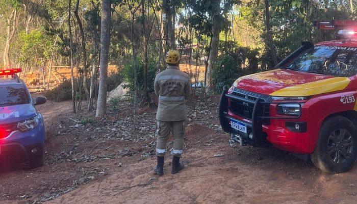 Trabalhador morre esmagado por árvore durante poda em Bela Vista de Goiás