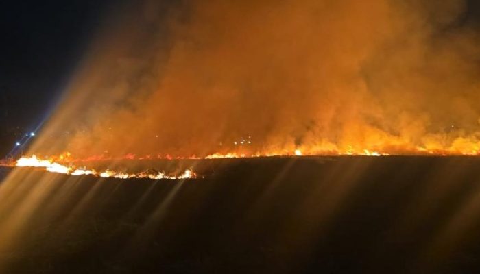 Incêndio atinge área de vegetação e mobiliza bombeiros em Goiânia